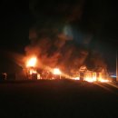 일대농장(2) 이미지