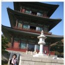 와우정사 Daum카페