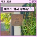 제주도게스트하우스 협재정류장 이미지