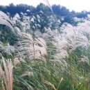 하얀여행(주) 이미지