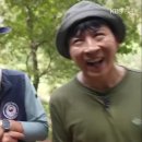 배꼽 유아숲체험원 Daum카페