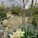 용진목장 이미지