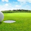 알파스크린골프 이미지