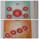 미토콘드리아3개 음이온2개 혈액3개 혈관4개 장2개 아이스크림2개 이미지