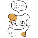 돈방제주맛돼지 - 34633 | 돈방제주맛돼지