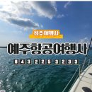 예주항공여행사 이미지