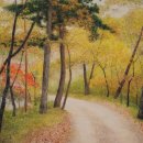 기획전시 가을전 이미지