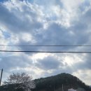 미소가든 펜션 야영장 | 🏊‍♂️ 충북 제천 수영장 캠핑장 TOP 4, 아이와 물놀이 즐기기 좋은 곳