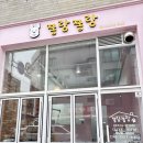 쫑랑쫑랑 | 신원동 애견미용 쫑랑쫑랑 말티즈 인생미용 후기