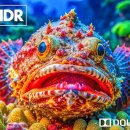 Mysterious Marine Creatures in 8K HDR | Dolby Vision™ 이미지
