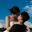 제주하다 이미지