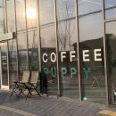 다니워리 이미지