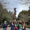 제주사람수다 | 제주 택시투어 요금 비교 후 선택한 제주도 카니발 렌트 봄 여행 후기