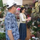 백춘덕, 취미(향산묵화실) 26-15, 스승의날 화분 선물 이미지