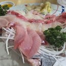 동대참치