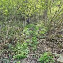 진범 농장 이미지