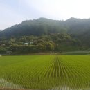 홍산관광농원캠핑장 이미지