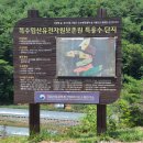 국립산림과학원
산림바이오소재연구소 이미지