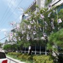 온양3동사무소 이미지