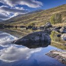 아름다운 이미지