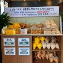 도안중로 | [대전 맛집] 간단하지만 든든한 한 끼 도안동 맛집 봉례옥 후기