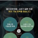 선천가설 이미지