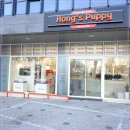 퍼피플레이스 | 대구강아지무료분양 대구강아지분양 홍스퍼피, 철저한 건강 관리와 쾌적한 환경!