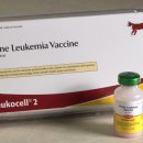 아이윌24시동물병원 이미지