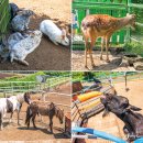 소리와 글로 피어나는 늘봄 | 제주도 가볼만한곳 제주도 여행지 서귀포 포함