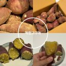 착한이유식 | 유기농 찐고구마 추천 착한고구마 직접 쪄서 먹은 솔직후기 알려드려요