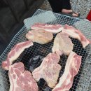 아이와 가기 좋은 원주 오크밸리 카라반 투숙기! 수영장 사우나 이용 꿀팁까지 총정리