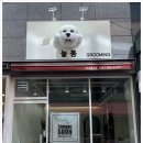 늘봄 그루밍 네이버블로그