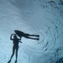 수성교 남서쪽 교통섬 | 일본 이시가키 2박 3일 여행 후기 🐢 비 오는 날의 섬 여행, 바다거북과 스노클링, 이리오모테-바라스 섬...