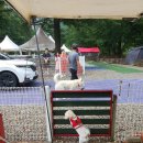 미산분교 캠핑장 이미지