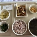 철든오빠 | 2025.4.29~5.5 아인병원 이란성 쌍둥이 응급 제왕절개 출산 후기 (긴글주의)