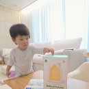 코코지 살까 말까? CD플레이어, 세이펜 다 있지만 사 본 후기