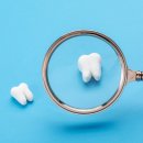 요셉동물병원 이미지