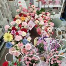 라플라워 이미지