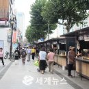 창경궁로 보행친화공간 재편공사 | [세계뉴스] 서울시, '걷기 편한 도' 완성 … 올해 1,025억 투입