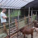 김주희농장 이미지