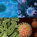 토론하는아이들이샘학원 이미지