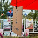 산척할인마트 | 충주 천등산고구마축제 먹거리 체험정보 고구마캐기 하려다가 상품 구매해 온 이유