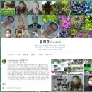 SNS편집 이미지