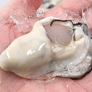 싱싱한하루 - 달성군 대실역북로1길 9 | 싱싱한하루