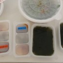 벌교꼬막&육회 이미지