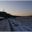 제성농장 이미지