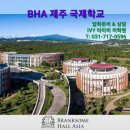 BHA(브랭섬홀아시아) 티스토리