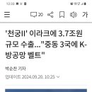 대한 민국 이라크에 3.7조원어치 천궁 미사일 수출! 이미지