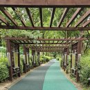 평택호정원 이미지