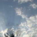 장야무지개마트 | 캠핑/ 경기도 양평 / 조용하게 사색 즐기기 좋은 캠핑장_다올오토캠핑장(feat. 9월인데 더위먹음)